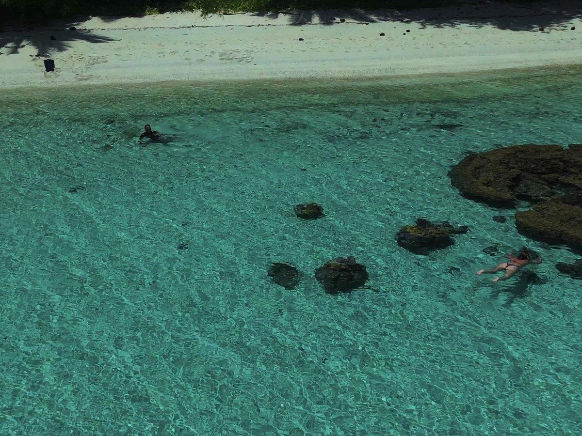 Coral heads in clear turquoise shallows