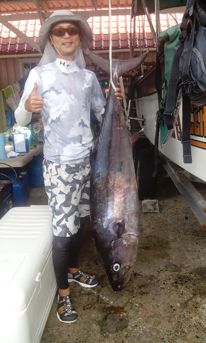 ポンペイで釣り上げられたキハダマグロ