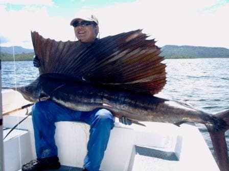 ポンペイで釣り上げられたバショウカジキ