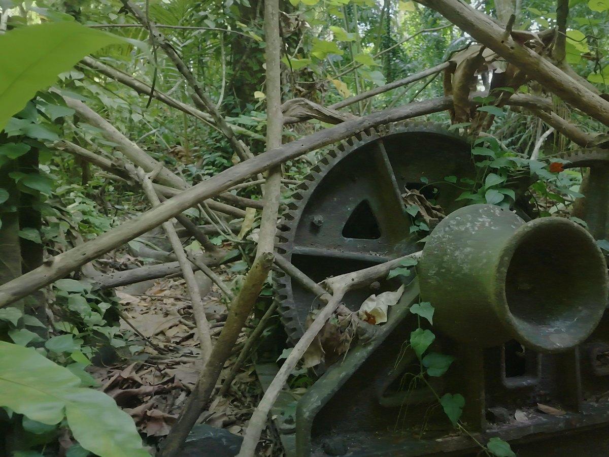 蔓に覆われた、ロッククラッシャーの大きな歯車とホッパー