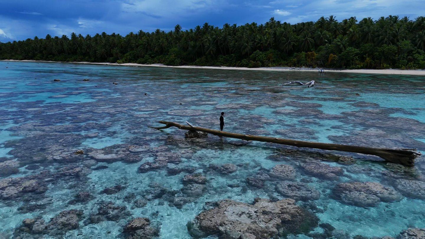 パキン環礁のリーフフラットで流木の上に立つ旅人