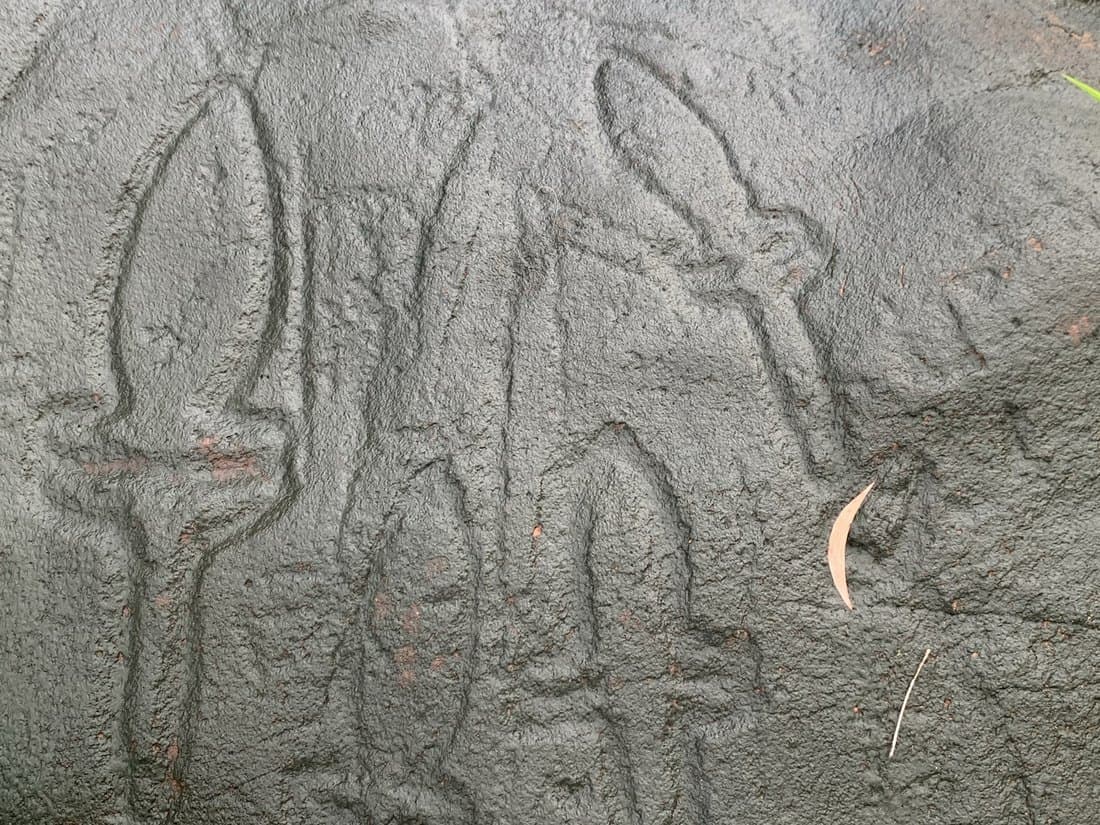 魚を思わせる形が刻まれたペトログリフ