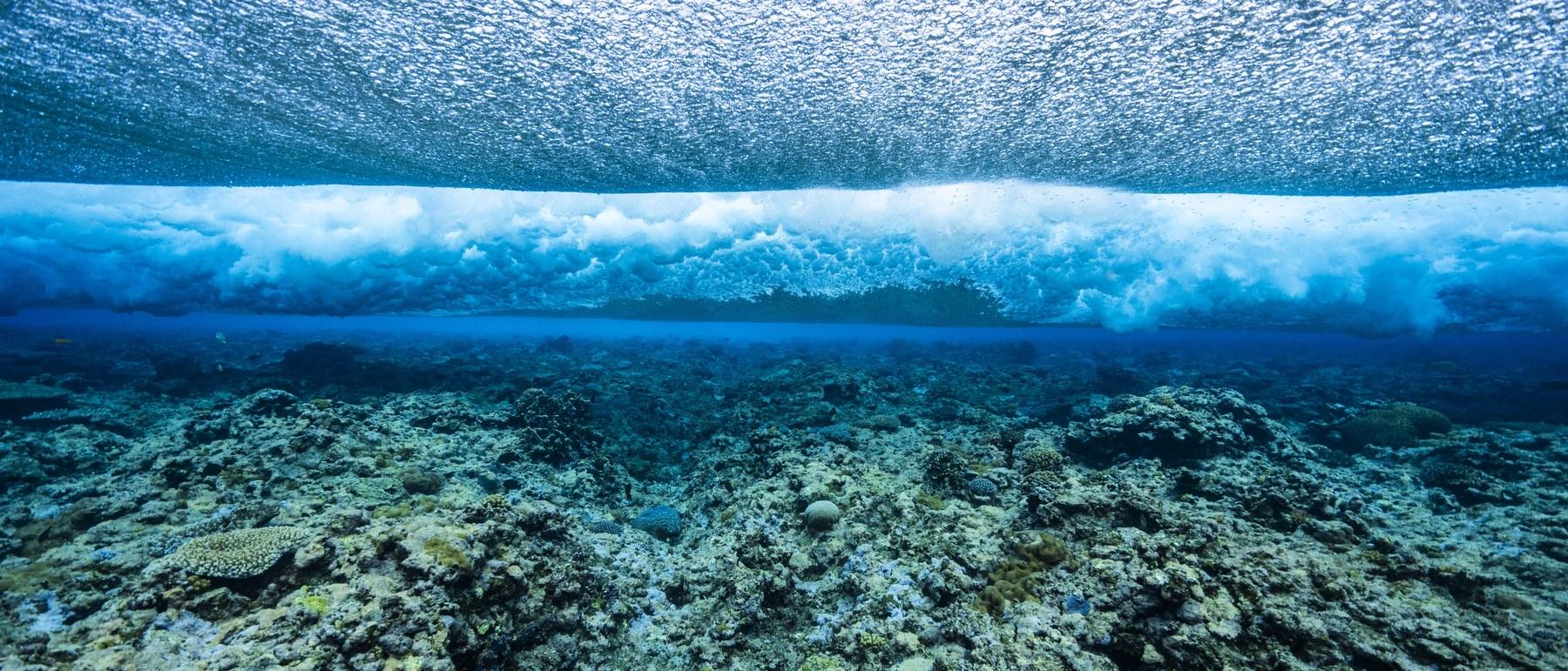 リーフを越える波を、水中から見上げる