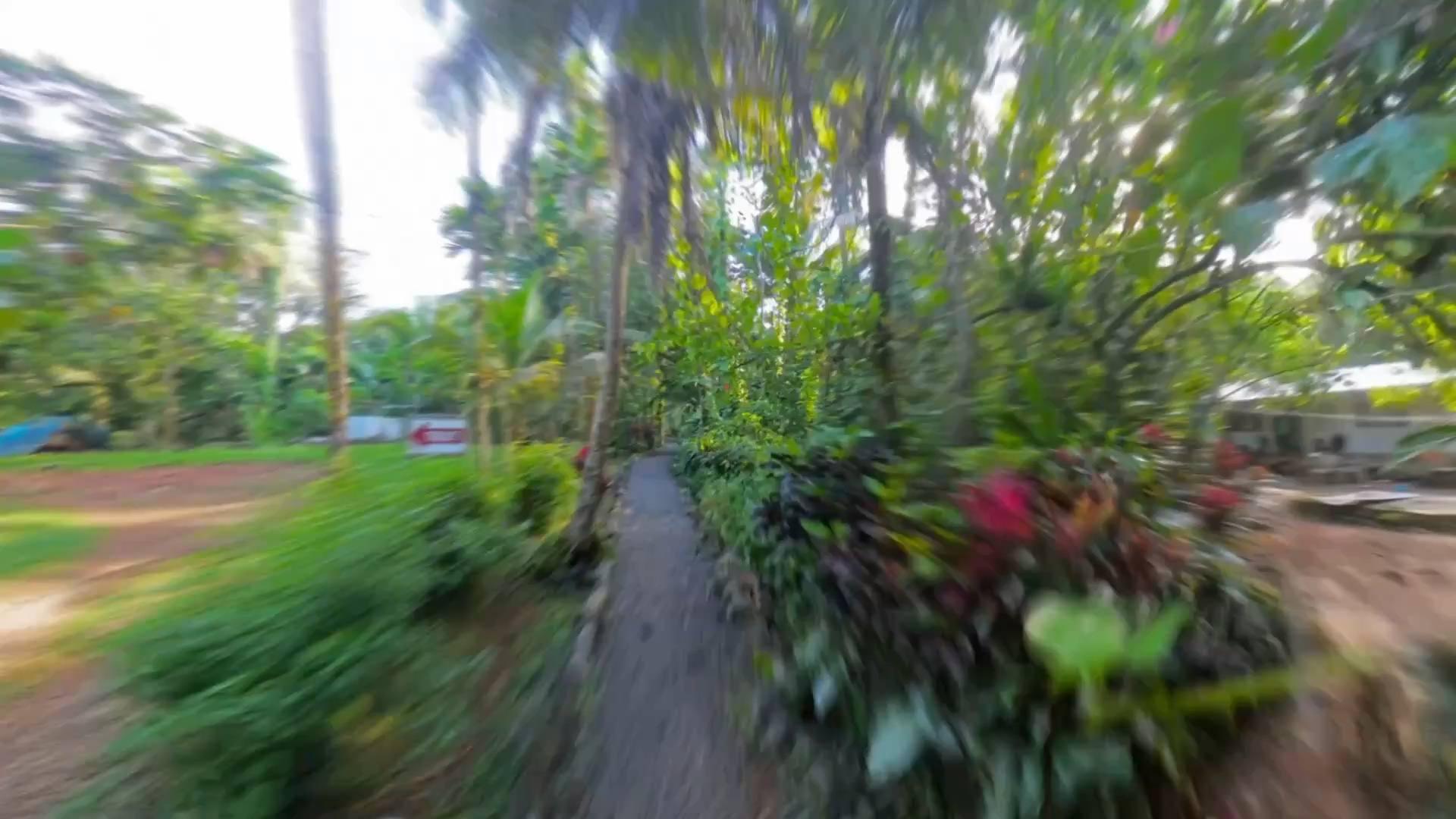 ケプロイの滝へと続く緑のトンネルの小径を駆け抜ける映像