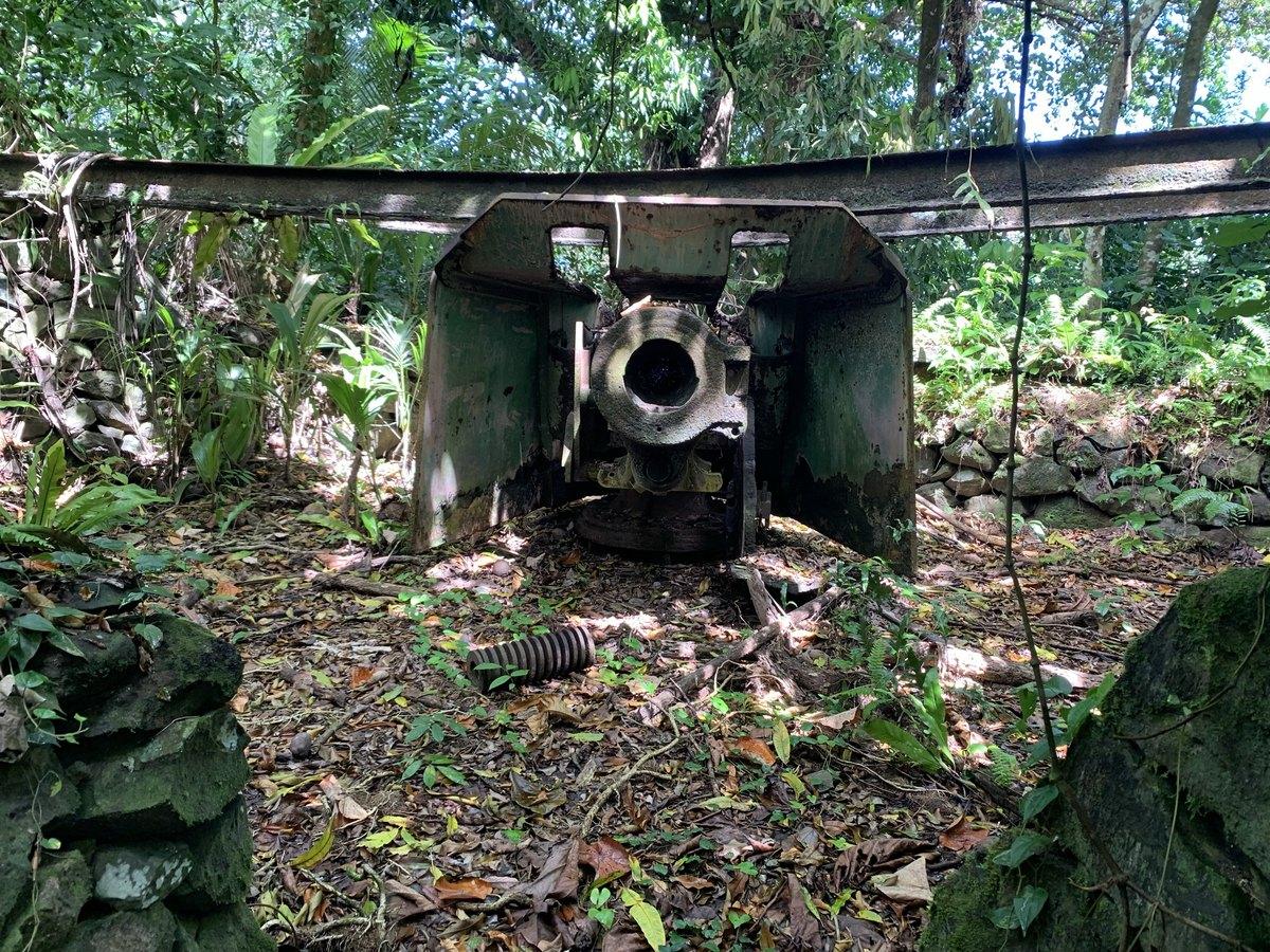 マダラニウム地区のジャングルに残る高射砲