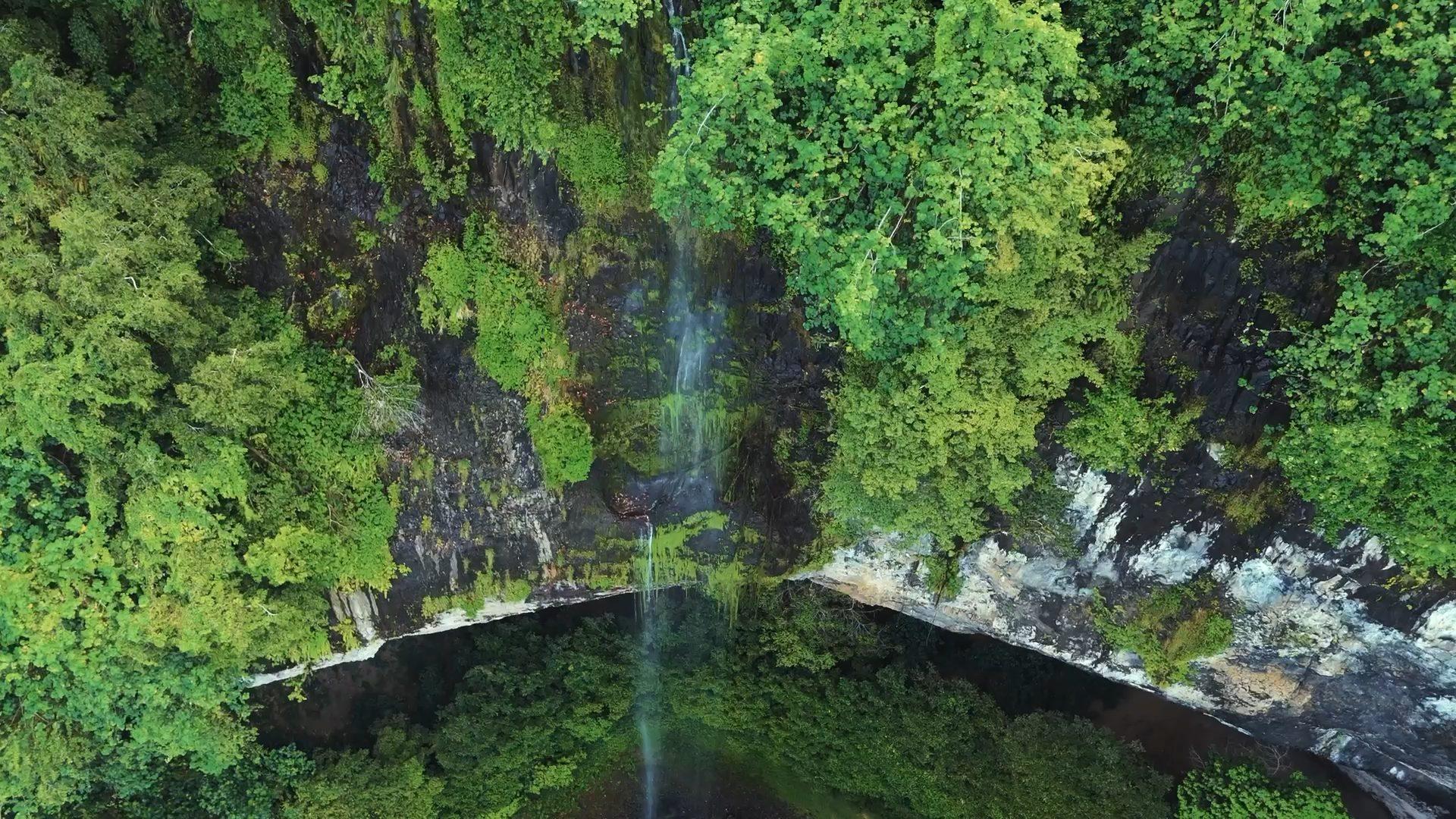 空から見たパーンチャカイの滝。密林に開いた岩屋へ一筋の水が落ちる